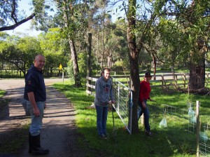 tree planting